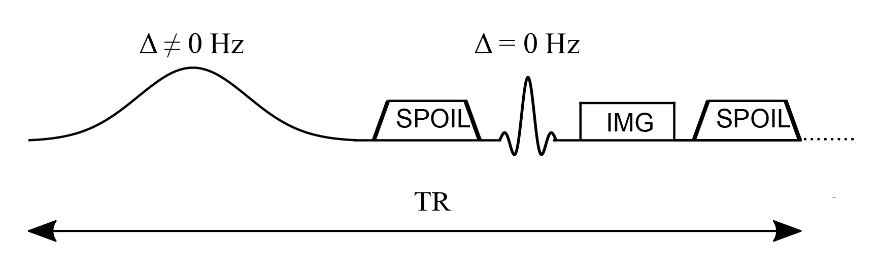 MT-Prepares SPGR Pulse Sequence